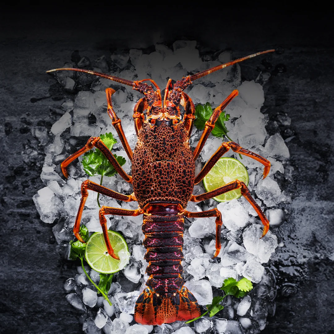Lobster Mastery