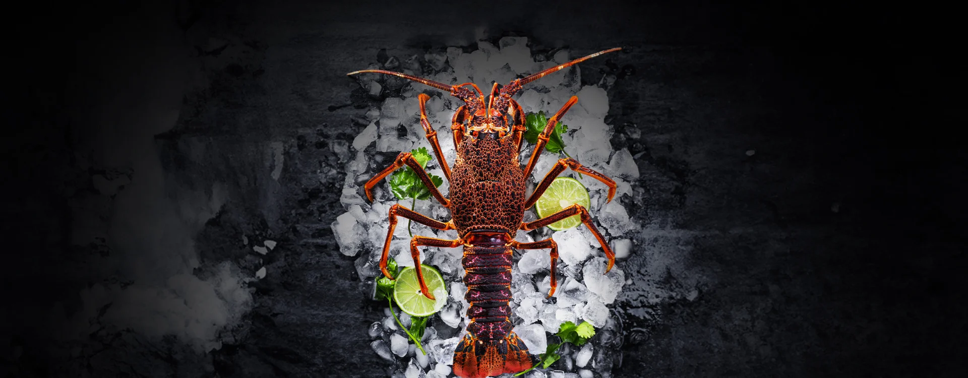 Lobster Mastery