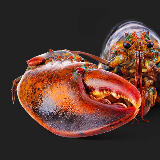 Sichuan Lobster