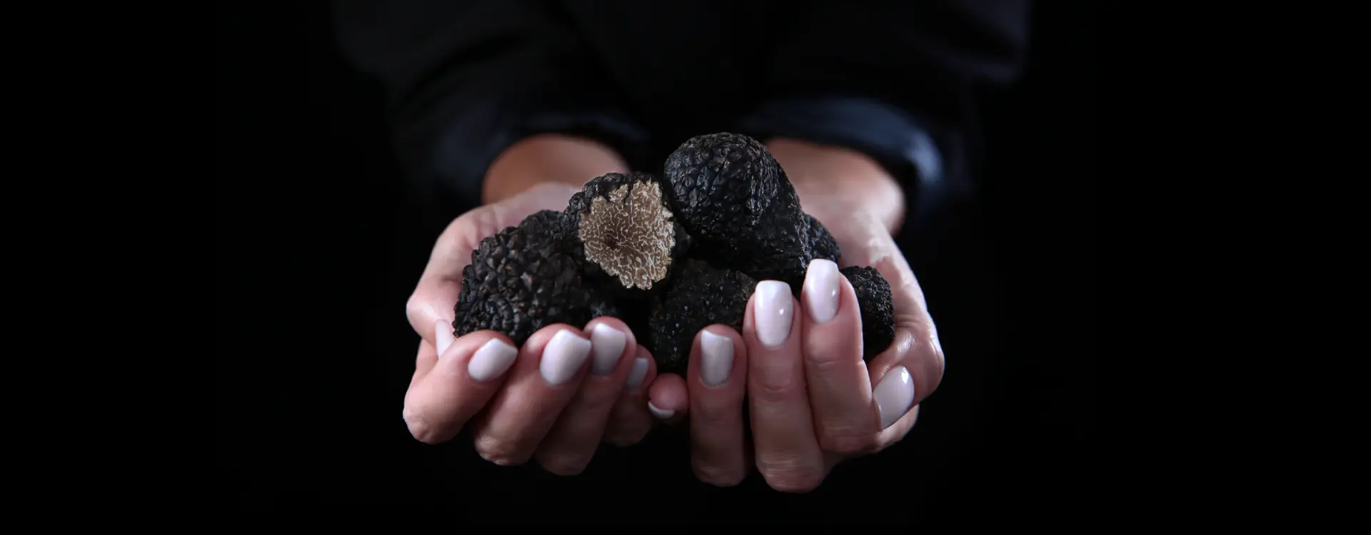 Finestra: Winter Black Truffle