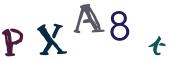 圖片的 CAPTCHA